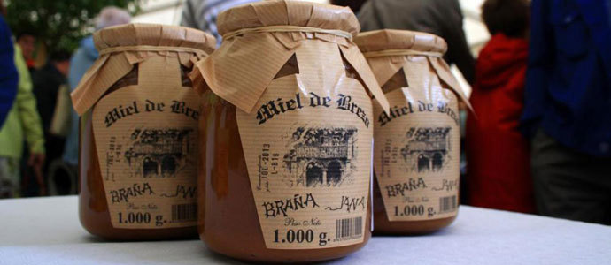 Ganadera destina 44.000 euros a mejorar la produccin y venta de la miel