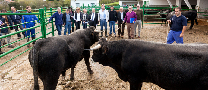 Ganadera inyecta 9,2 millones de euros al sector primario para afianzar el desarrollo rural