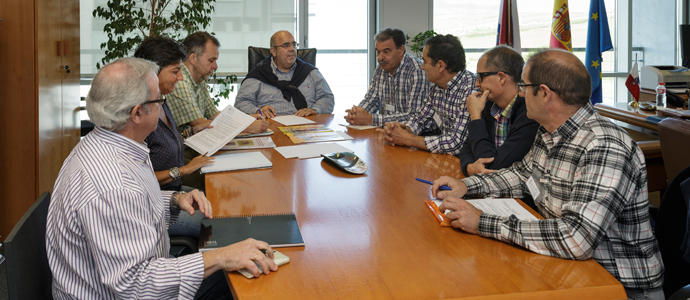 Ganadera, Medio Natural y Proteccin Civil preparan un protocolo de actuacin contra la avispa asitica 