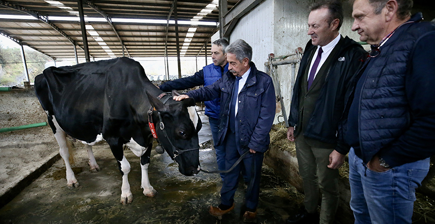 La ganadera SAT Ceceo recibir la mxima distincin de Cantabria como reconocimiento al sector ganadero y a 