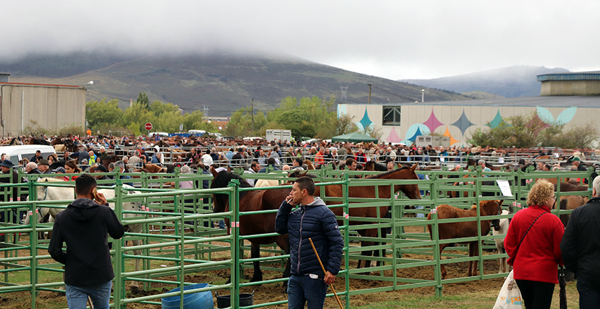Ganaderos al Ferial