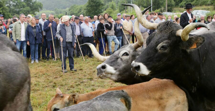 El Gobierno de Cantabria abona cerca de 6 millones de euros en ayudas directas al sector primario