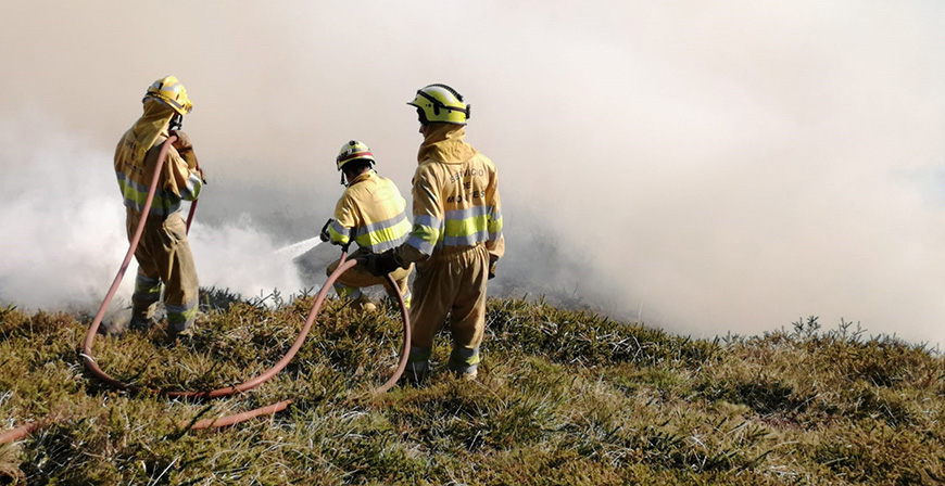 El Gobierno de Cantabria convoca ayudas por ms de 1,2 millones de euros para la prevencin de incendios forestales