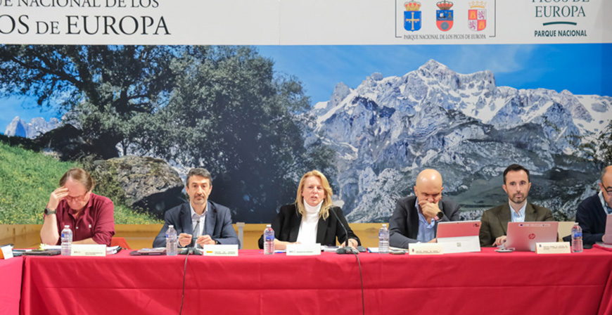 El Gobierno de Cantabria intensificar los controles poblacionales de jabales en el Parque Nacional de los Picos de Europa