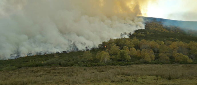 El Gobierno regional, preocupado por el nmero de incendios provocados en Campoo