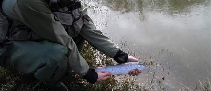 El Gobierno de Cantabria publica las normas para la prctica de la pesca deportiva en 2018