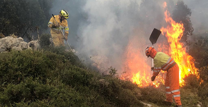 El Gobierno convoca ayudas por casi un milln de euros para prevenir incendios forestales en Cantabria