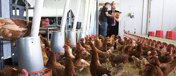 El Gobierno convoca ayudas a proyectos de innovacin en el medio rural por valor de 300.000 euros