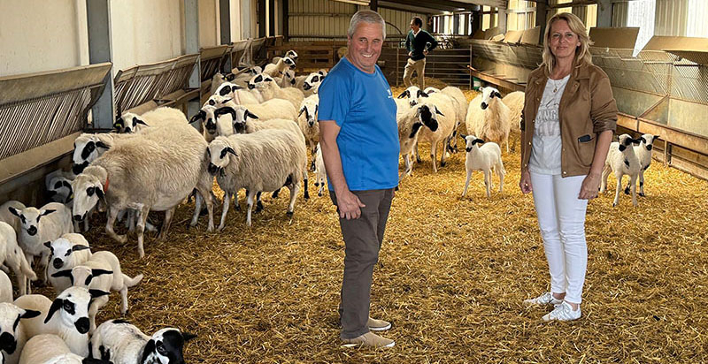 El Gobierno inicia el pago del saldo del 90% de las ayudas directas por superficie del 2025 a 7.782 beneficiarios