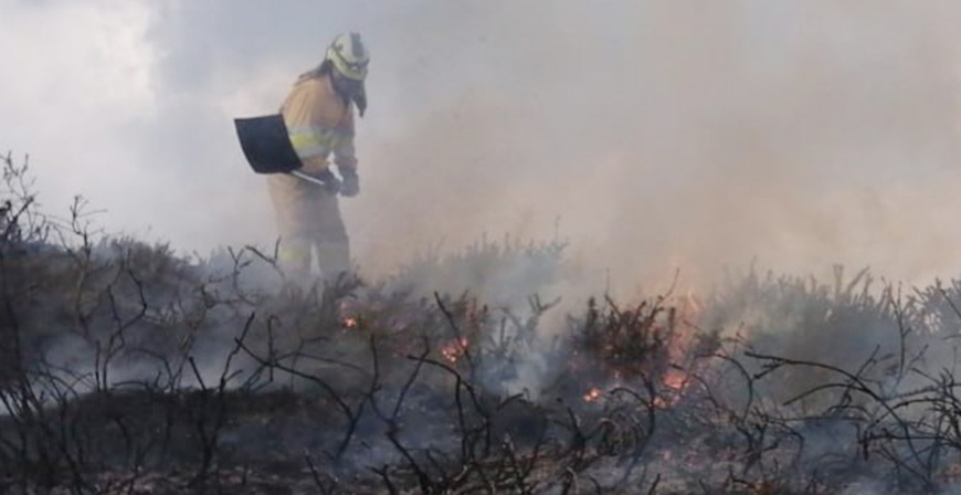 El Gobierno plantea la regulacin de las quemas controladas y prescritas en los montes de Cantabria