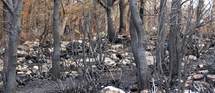 El 'gran hermano' de los incendios