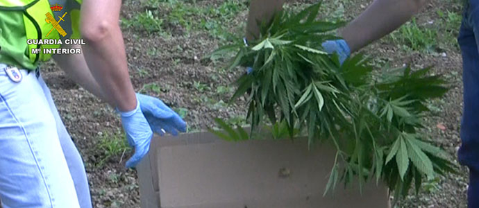 La Guardia Civil de Cantabria desmantela una red criminal dedicada al narcotrfico y blanqueo de capitales