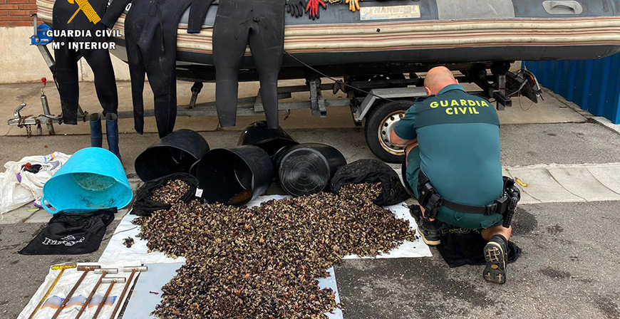 La Guardia Civil de Cantabria incauta ms de 100 Kg de percebes