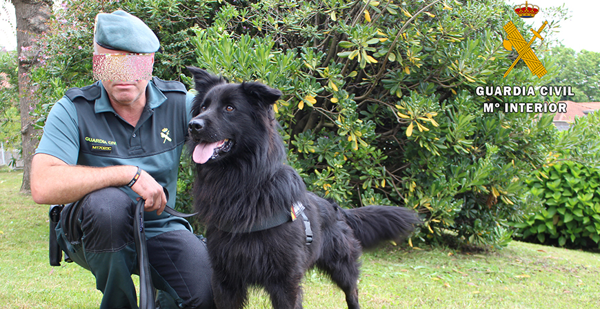 La Guardia Civil de Cantabria incorpora un border collie a su unidad canina