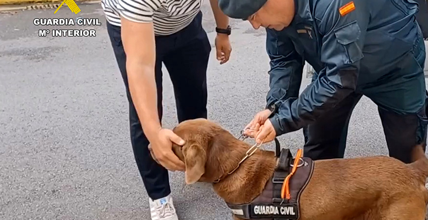 La Guardia Civil de Cantabria se despide de Max, uno de los perros detectores de explosivos, tras su jubilaci�n 