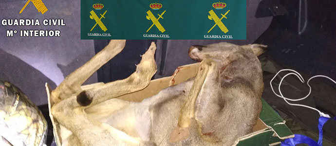 La Guardia Civil denuncia a un hombre por cazar un corzo en periodo de veda en Salinas de Pisuerga