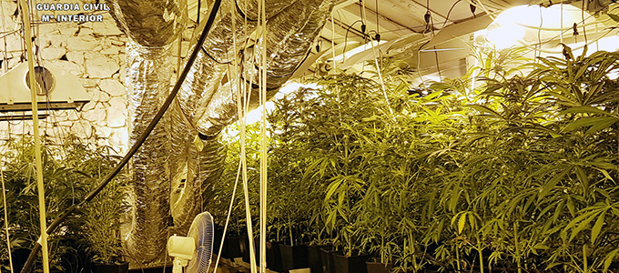 La Guardia Civil desmantela una plantacin con casi 30 kilos de marihuana