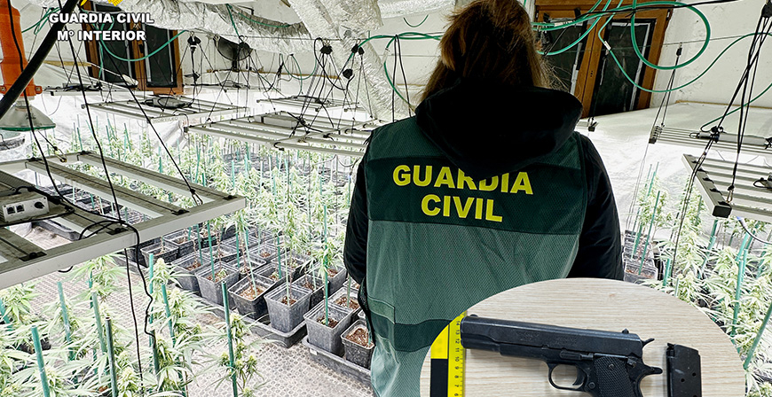 La Guardia Civil desmantela una plantacin indoor de marihuana e interviene 333 plantas