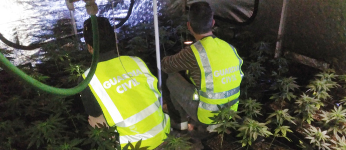 La Guardia Civil desmantela una plantacin de marihuana en Gemes