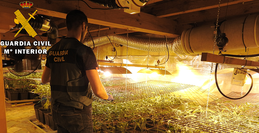 La Guardia Civil desmantela una plantacin de marihuana en Ramales de la Victoria