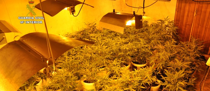 La Guardia Civil desmantela una plantacin de marihuana en Valderredible