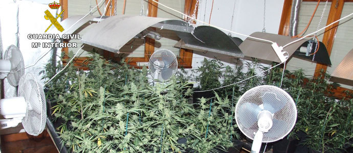 La Guardia Civil desmantela una plantacin de marihuana en una vivienda de Polanco
