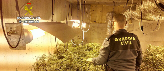 La Guardia Civil desmantela un punto de cultivo de marihuana en Bdames