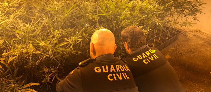 La Guardia Civil desmantela un punto de cultivo de marihuana en Bdames