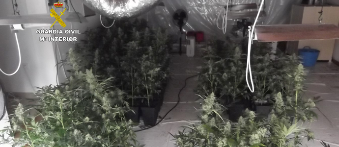 La Guardia Civil desmantela un punto de cultivo de marihuana en Mazcuerras