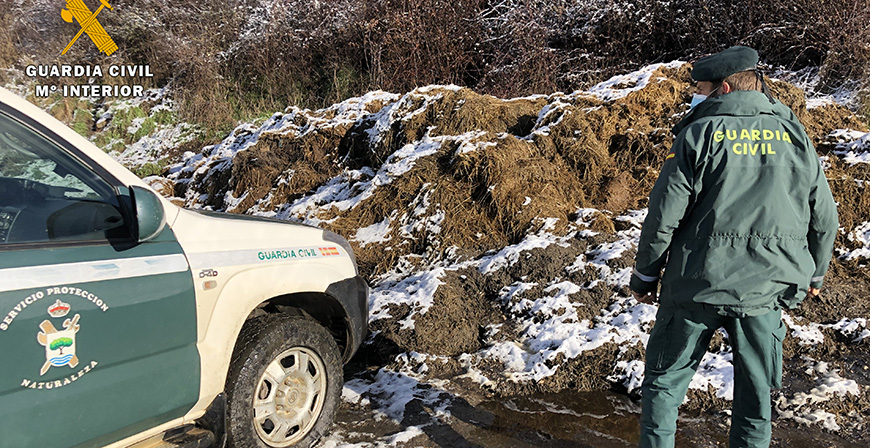 La Guardia Civil detecta 14 infracciones sanitarias en una explotacin de ganado vacuno en el norte de Palencia