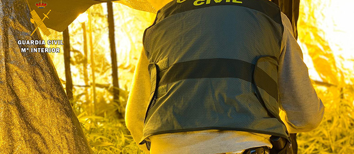 La Guardia Civil detiene a dos hombres e investiga a otros dos por sendas plantaciones indoor de marihuana