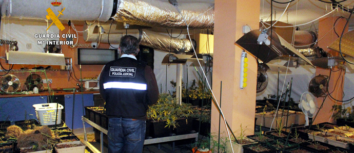 La Guardia Civil detiene a un hombre con 10 kilos de marihuana y una plantacin 