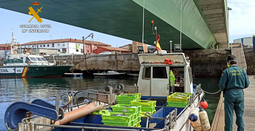 La Guardia Civil entrega al banco de alimentos de Cantabria ms 500 kilos de pescado intervenido