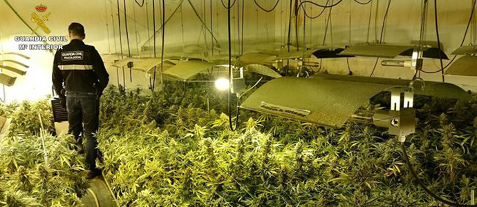 La Guardia Civil incauta 700 plantas de marihuana y detiene a dos hombres en Treto