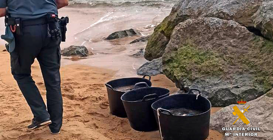La Guardia Civil incauta ms de 90 kg de anmonas a tres mariscadores furtivos 