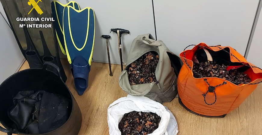 La Guardia Civil intercepta a dos furtivos con 41 kilos de percebes
