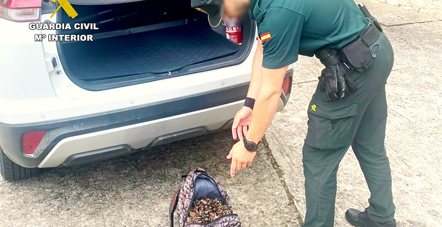 La Guardia Civil intercepta a dos furtivos en la costa de Arroyo-Santillana del Mar con m�s de 16 kilos de percebes