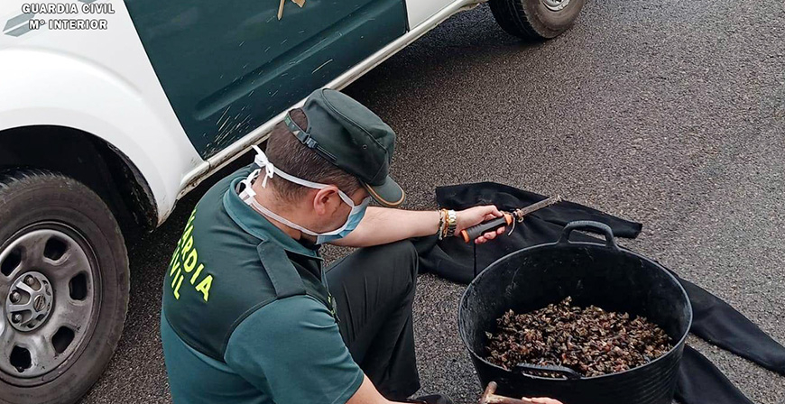 La Guardia Civil intercepta a tres furtivos con ms de 20 kilos de percebes 