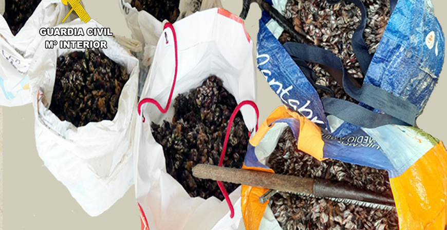 La Guardia Civil interviene 45 kilos de percebes a 6 furtivos 