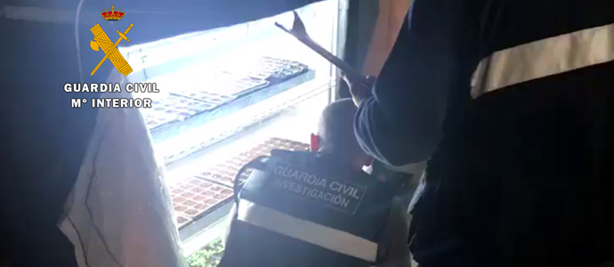 La Guardia Civil interviene 800 plantas de marihuana en Heras