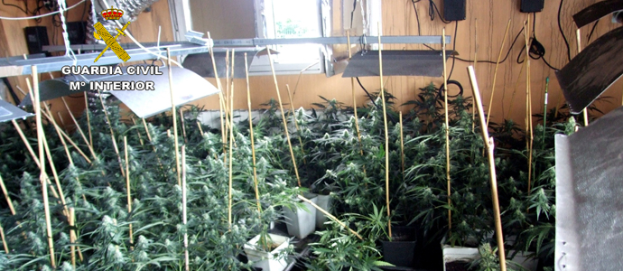 La Guardia Civil interviene casi 500 plantas de marihuana tras un incendio en una vivienda