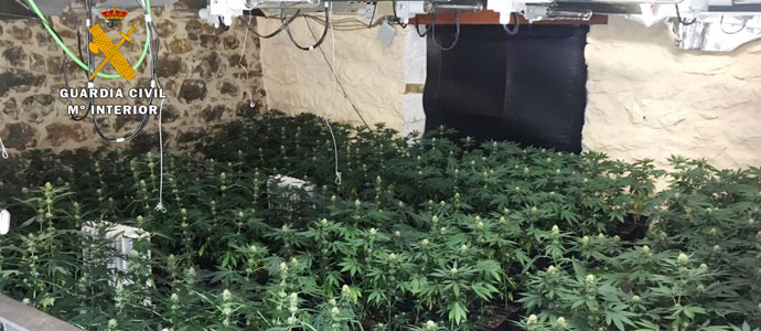 La Guardia Civil interviene cerca de 1.000 plantas de marihuana en dos plantaciones de Pesaguero y Ajo