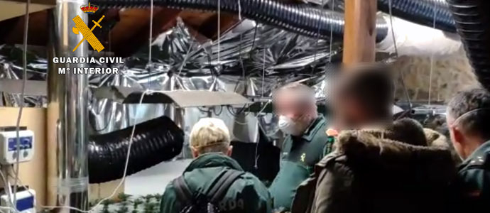 La Guardia Civil interviene cerca de 1.000 plantas de marihuana en dos plantaciones de Pesaguero y Ajo