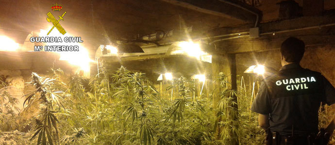 La Guardia Civil interviene cerca de 200 plantas de marihuana en Lloreda de Cayn