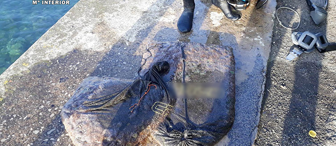 La Guardia Civil interviene a un mariscador unos 35 kilos de anmonas