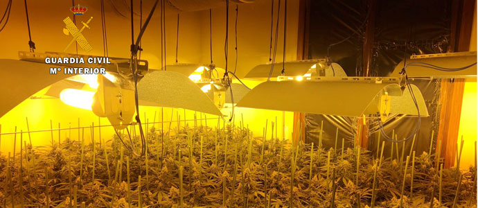 La Guardia Civil interviene ms de 1.100 plantas de marihuana en viviendas de Treto y Gama