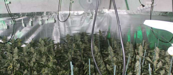 La Guardia Civil interviene ms de 17 kilos de marihuana en una vivienda de Anero