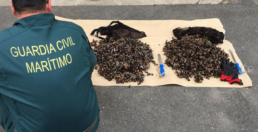 La Guardia Civil interviene ms de 20 Kg de percebes en un nuevo servicio contra el marisqueo ilegal