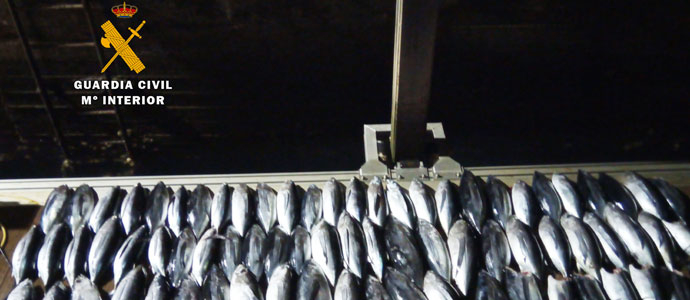 La Guardia Civil interviene ms de 400 kg de bonito en dos embarcaciones de recreo
