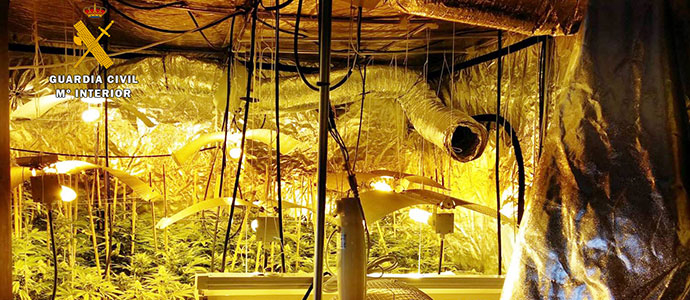 La Guardia Civil interviene ms de 580 plantas de marihuana en una vivienda alquilada de Penagos